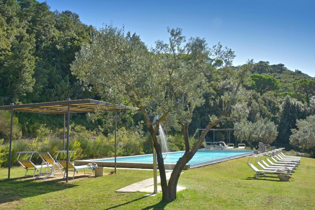 Apartamento Castello Ginori Di Querceto Querceto  Exterior foto